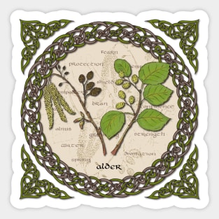 Celtic Alder Sticker